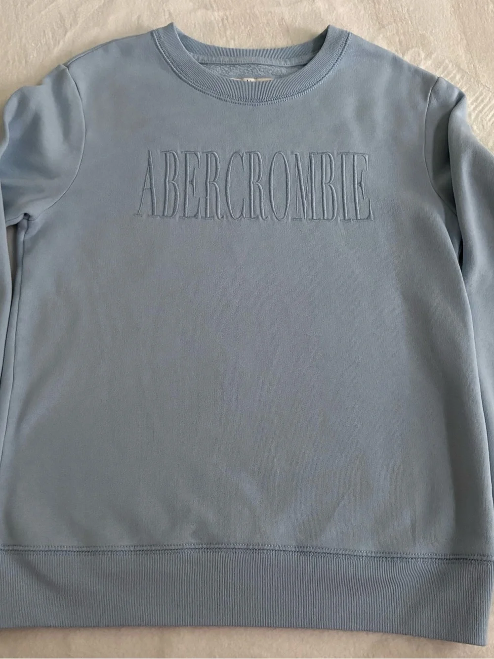 Abercrombie Kids Light Blue Embroidered Logo Crewneck Sweatshirt